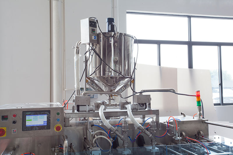 Automatic Spout Pouch Filling and Capping Machine Horizontal Pouch Packing Machine