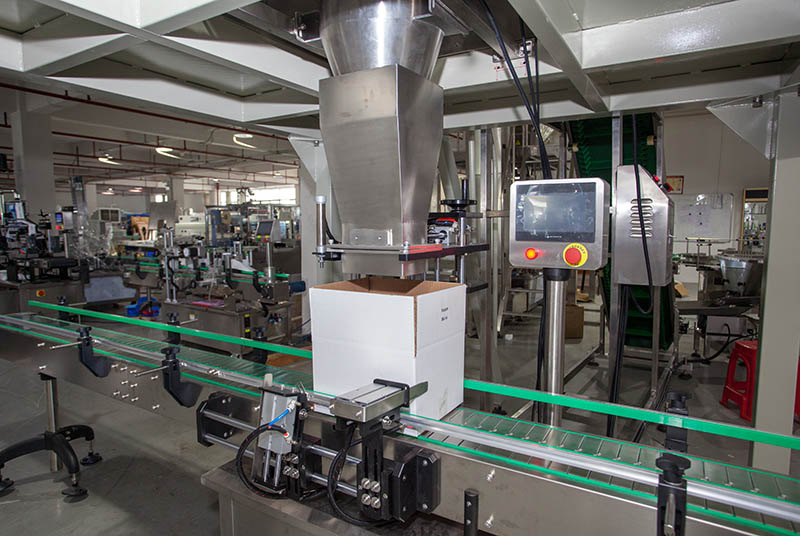 Automatic Fastener Weighing Packing Machine Box Filling Machine