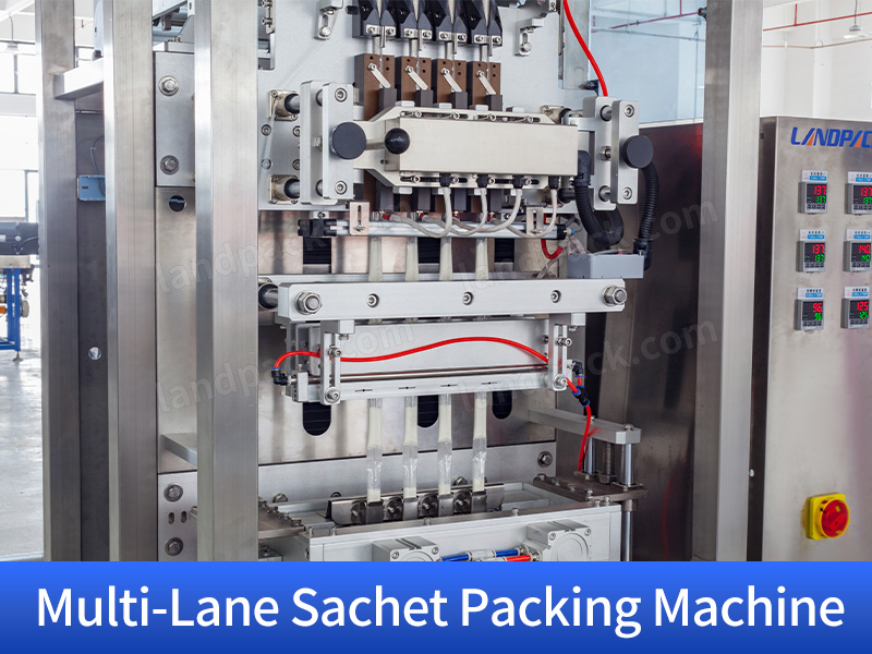 Automatic Stick Packing Machine | Protein Powder Counting Cartoning Packing System