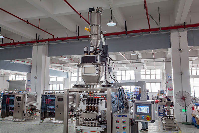 Automatic Stick Packing Machine | Protein Powder Counting Cartoning Packing System