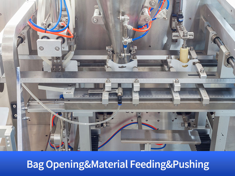 Granule Bagging Cartoning Palletising System | Automatic Horizontal Pouch Packing System