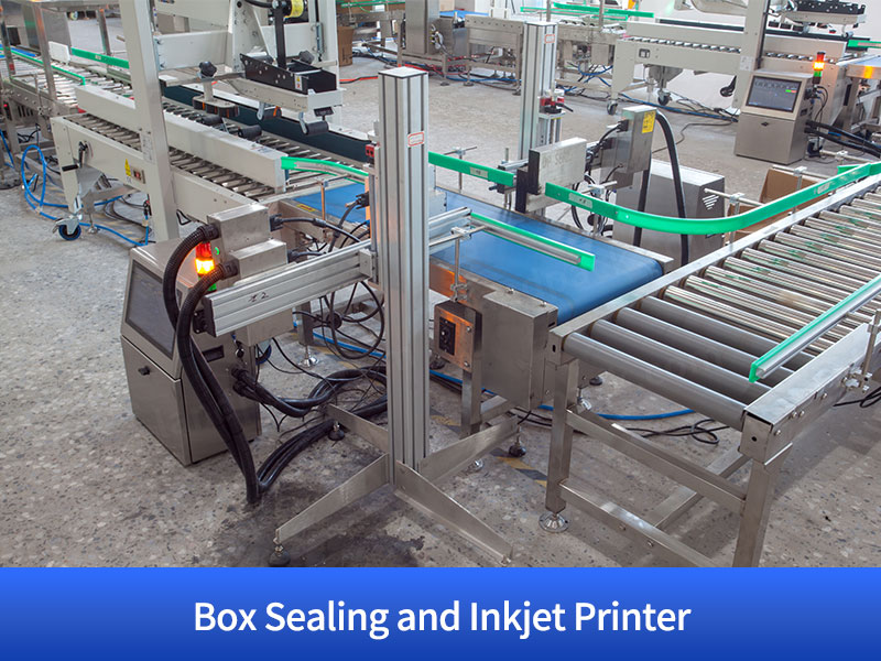 Granule Bagging Cartoning Palletising System | Automatic Horizontal Pouch Packing System
