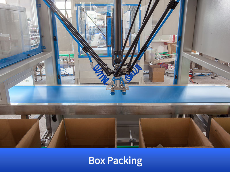 Granule Bagging Cartoning Palletising System | Automatic Horizontal Pouch Packing System