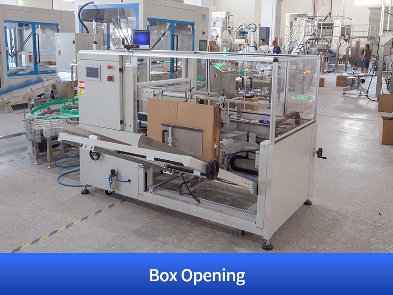 Granule Bagging Cartoning Palletising System | Automatic Horizontal Pouch Packing System
