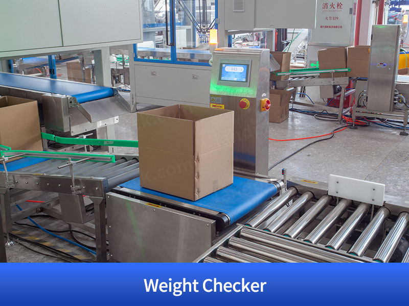 Granule Bagging Cartoning Palletising System | Automatic Horizontal Pouch Packing System