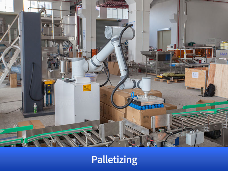 Granule Bagging Cartoning Palletising System | Automatic Horizontal Pouch Packing System
