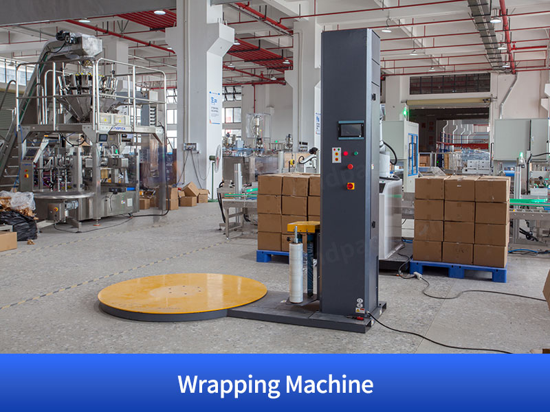 Granule Bagging Cartoning Palletising System | Automatic Horizontal Pouch Packing System