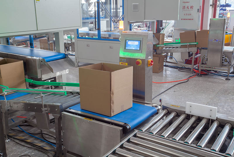 Granule Bagging Cartoning Palletising System | Automatic Horizontal Pouch Packing System
