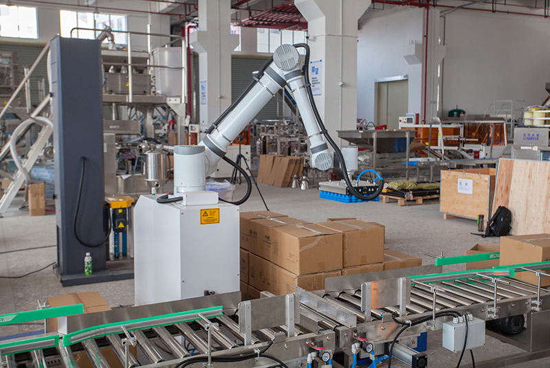 Granule Bagging Cartoning Palletising System | Automatic Horizontal Pouch Packing System