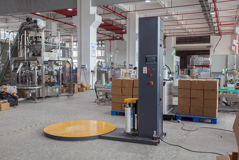 Granule Bagging Cartoning Palletising System | Automatic Horizontal Pouch Packing System