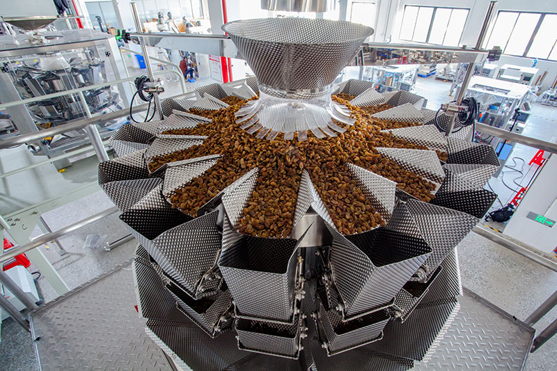 Automatic Dry Fruit Packing Machine | Raisin Vertical Pouch Packaging Machine