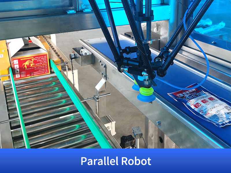 Parallel Robot