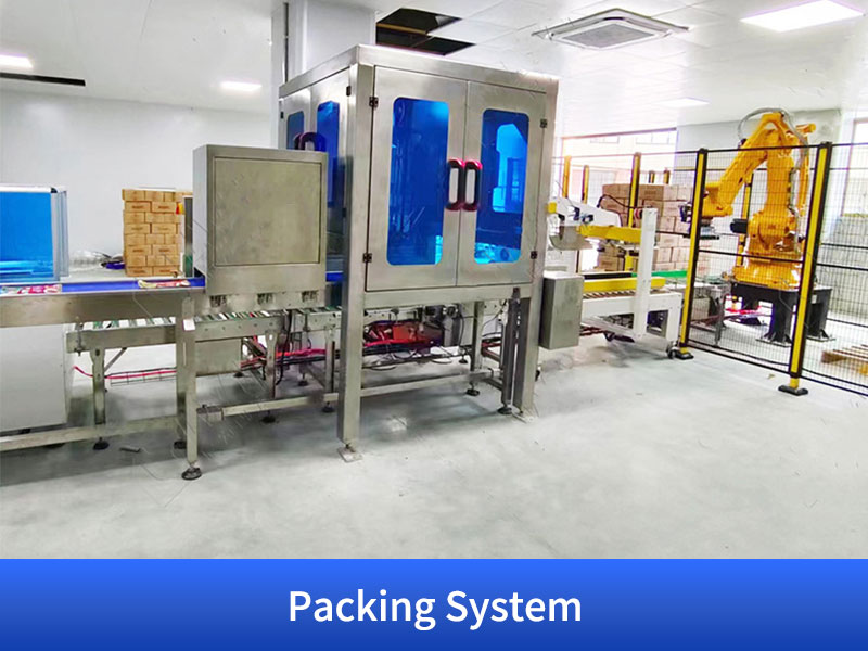 Automatic Carton Packing Machine