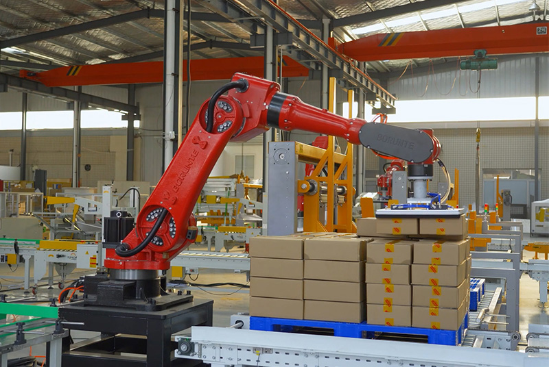 Case Packing Robot | Packaging Systems