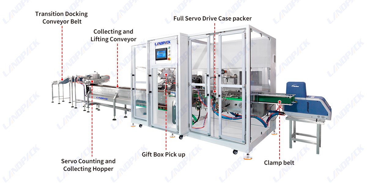 Automatic Bag Counting Cartoning Packing System