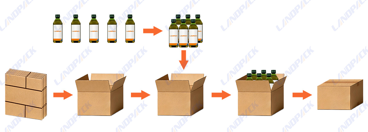 Automatic Cartoning Case Packaging System For Bottles Cans Jars Barrels