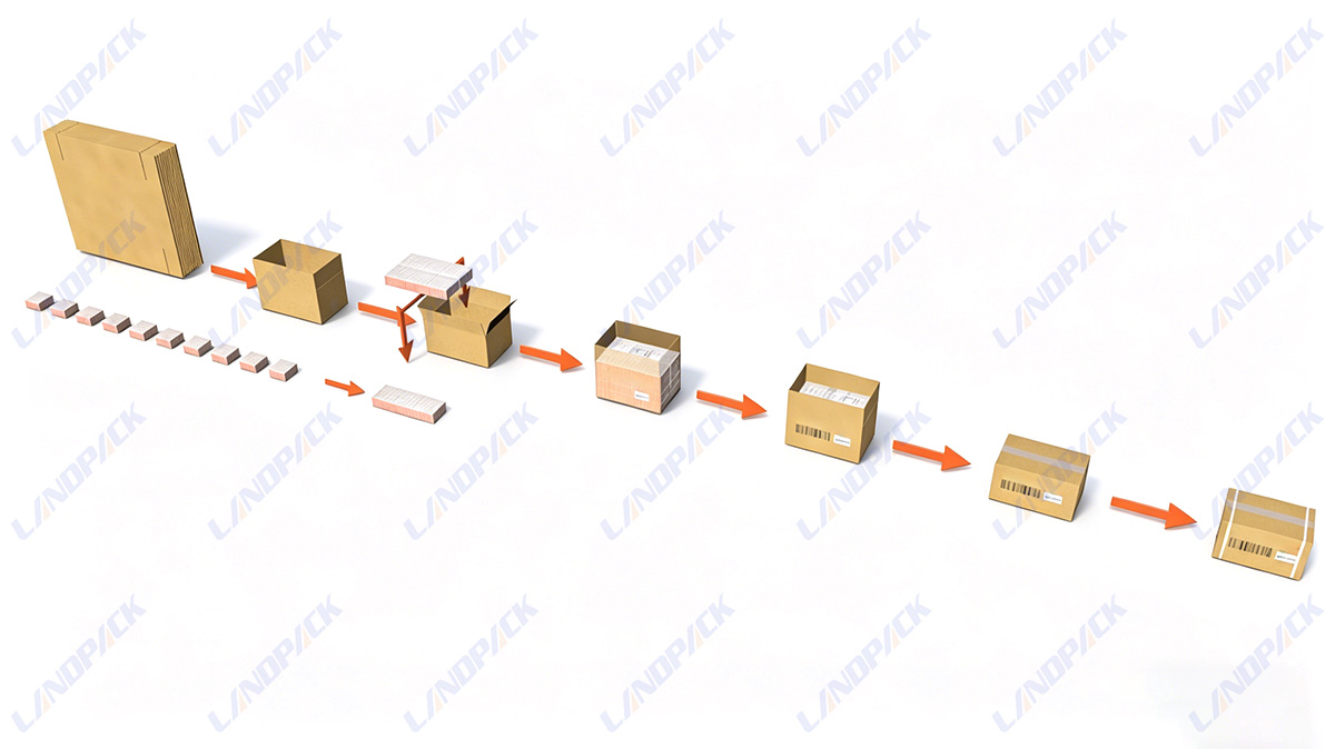 Automatic Case Packing Robot Palletizing Packing Systems For Carton End of Line Packaging