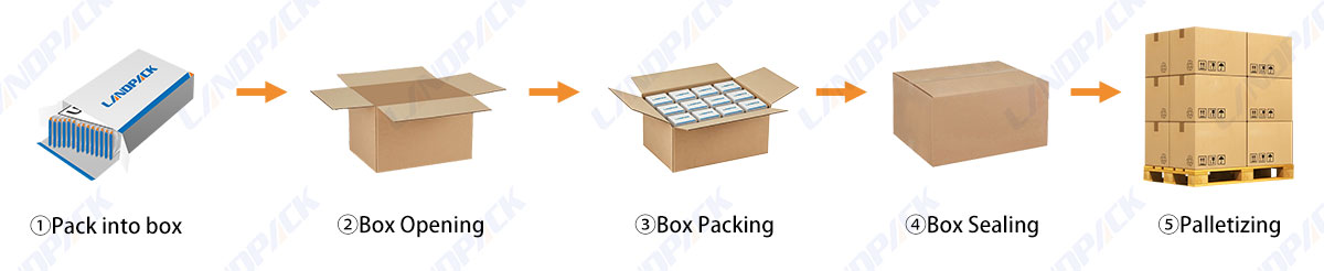 End of line Packaging Case Erector Packer Case Sealer Robotic Case Packing System
