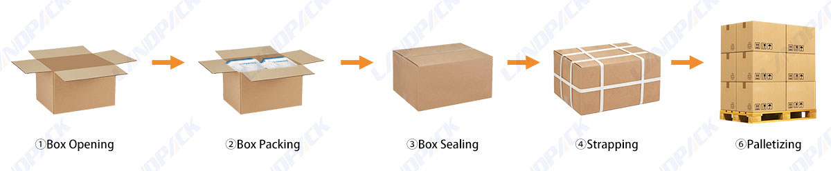 Automatic Case Packing Packaging Automatic Packaging Systems with Delta Robot Palletizer