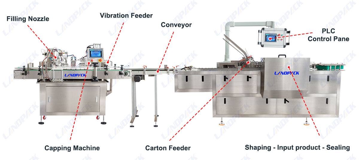 Liquid Bottle Case Packing System and Perfume Oil Cartoning Machine