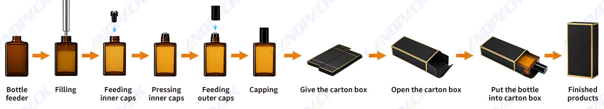 Liquid Bottle Case Packing System and Perfume Oil Cartoning Machine