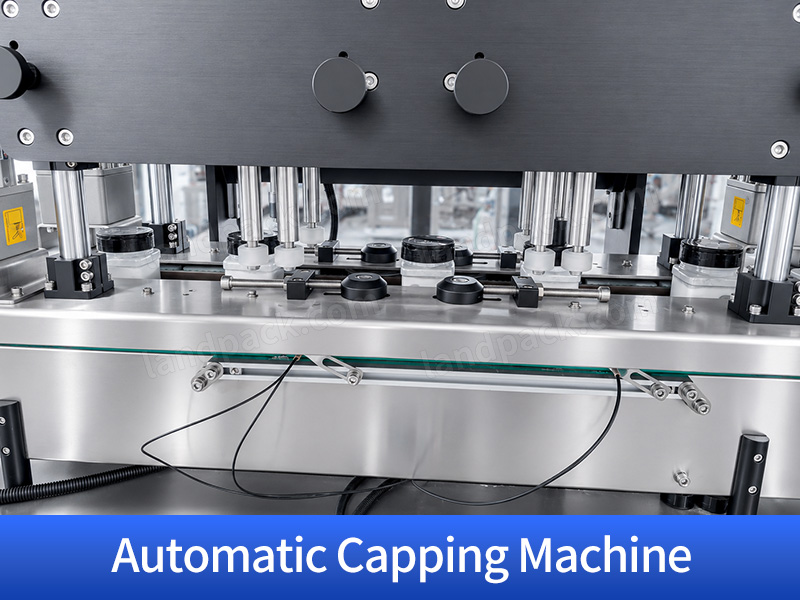 Automatic Spice Filling Machine Powder Bottle Filling Capping Sealing and Labeling Line