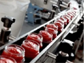 Canned Food Packaging Canned Food Packaging