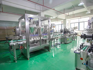Canadian Customer Milk Powder Filling Line Project