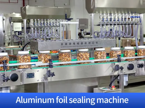 dry fruits packing machine price
