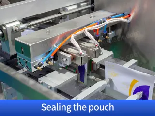 powder packing machine manufacturer
