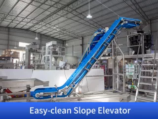 dry fruit packing machine price