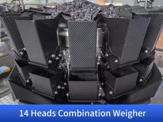 dried fruit packaging machines