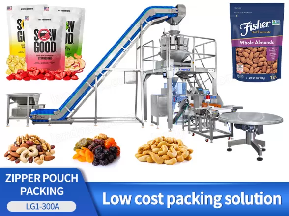 dry fruit packing machine