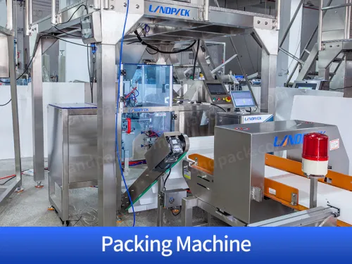 dry fruit vacuum packing machine