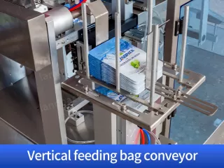 dry fruit packing machine price