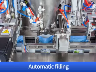 dried fruit packaging machines