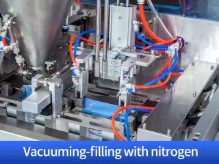 dry fruits packing machine price