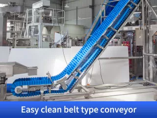 dry fruit packing machine price