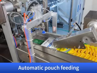 dried fruit packaging machines