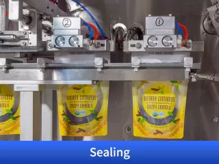 dry fruits packing machine price