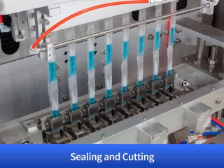 pet food packaging equipment