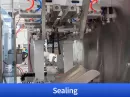 tamarind packing machine