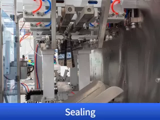 tamarind packing machine