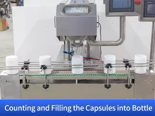 gummy bear filling machine
