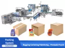 granule packing machine