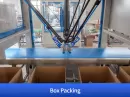case packing robot