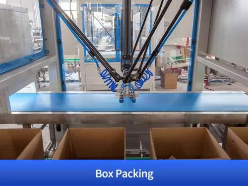 case packing robot
