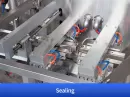 tomato sauce packing machine
