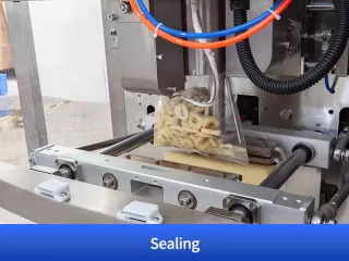 pickle packing machine price