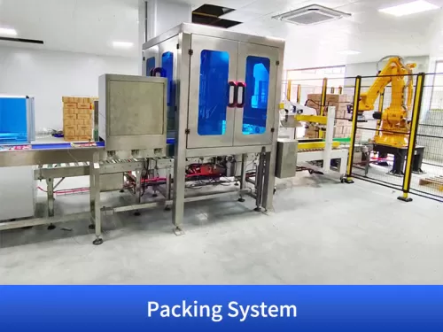 palletizing solutions